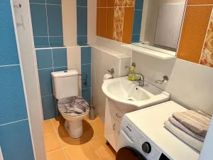 Pronájem bytu 1+1, Napajedla, Nábřeží, 35 m2