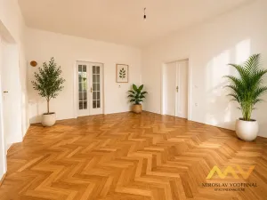 Pronájem bytu 3+1, Hradec Králové - Pražské Předměstí, Dukelská třída, 129 m2