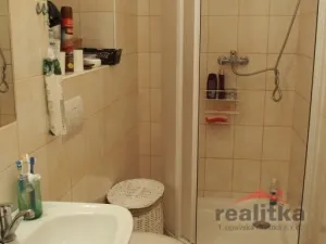 Pronájem bytu 1+kk, Opava - Předměstí, Olbrichova, 30 m2