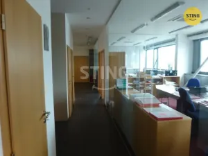 Pronájem kanceláře, Ostrava, Hrušovská, 450 m2