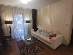 Pronájem bytu 2+kk, Plzeň - Jižní Předměstí, U Borského parku, 52 m2