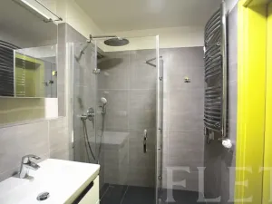 Pronájem bytu 1+kk, Praha - Karlín, Sokolovská, 31 m2