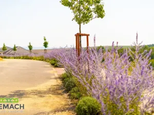 Prodej pozemku pro bydlení, Ořechov, 902 m2