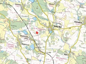 Prodej lesa, Velký Bor, 16139 m2