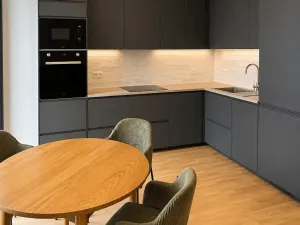Pronájem bytu 2+kk, Praha - Žižkov, Hartigova, 55 m2