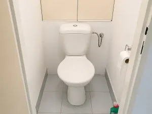 Prodej bytu 2+1, Týnec nad Sázavou, Družstevní, 52 m2