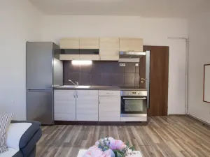 Pronájem bytu 2+kk, Praha - Žižkov, Jana Želivského, 56 m2