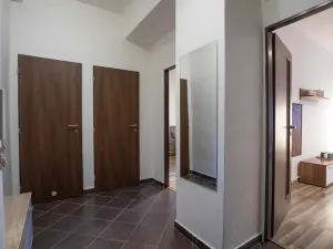 Pronájem bytu 2+kk, Praha - Žižkov, Jana Želivského, 56 m2