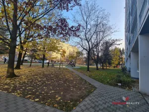 Pronájem bytu 1+kk, Pardubice - Polabiny, Valčíkova, 28 m2