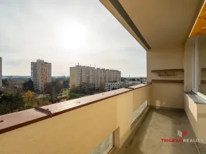 Pronájem bytu 1+kk, Hradec Králové - Pražské Předměstí, Hrubínova, 37 m2