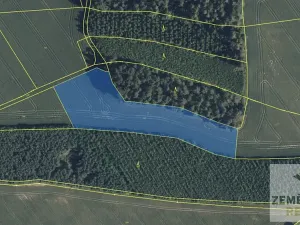 Prodej podílu pole, Doubravice, 36202 m2