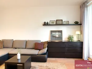Pronájem bytu 3+1, Olomouc, Pionýrská, 60 m2