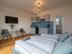 Pronájem bytu 1+kk, Praha - Vinohrady, Perucká, 27 m2