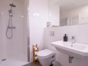 Pronájem bytu 1+kk, Praha - Vinohrady, Perucká, 27 m2