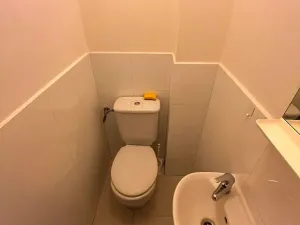 Prodej bytu 1+1, Praha - Vršovice, Užocká, 49 m2
