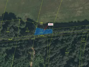Dražba lesa, Nová Bystřice, 260 m2