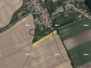 Prodej pole, Moravany, 3323 m2