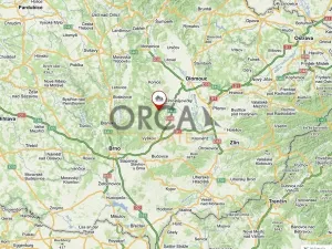 Prodej lesa, Prostějovičky, 1251 m2