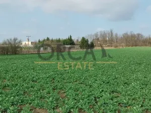 Prodej pozemku pro bydlení, Vranovice, 2817 m2