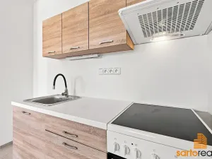 Pronájem bytu 1+kk, Ústí nad Labem, Spartakiádní, 31 m2