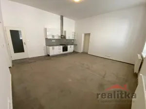 Pronájem bytu 3+kk, Opava - Předměstí, Hauerova, 104 m2