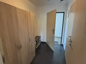 Pronájem bytu 1+kk, Brno, Pastviny, 58 m2