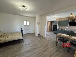 Pronájem rodinného domu, Kamenná Lhota, 55 m2
