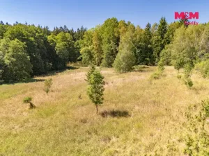 Prodej louky, Bezdružice - Řešín, 8235 m2