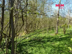 Prodej pozemku pro bydlení, Brzice, 1453 m2
