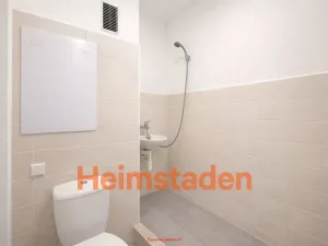 Pronájem bytu 1+kk, Karviná - Nové Město, Nedbalova, 22 m2