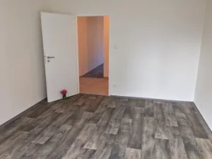Pronájem bytu 1+1, Ostrava - Mariánské Hory, Hudební, 41 m2