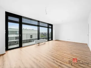 Pronájem bytu 2+kk, Plzeň - Jižní Předměstí, Železná, 62 m2