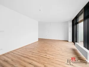 Pronájem bytu 2+kk, Plzeň - Jižní Předměstí, Železná, 62 m2