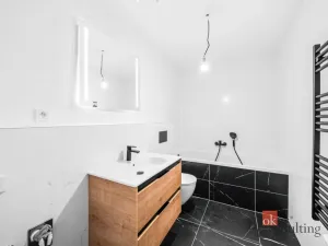 Pronájem bytu 2+kk, Plzeň - Jižní Předměstí, Železná, 62 m2