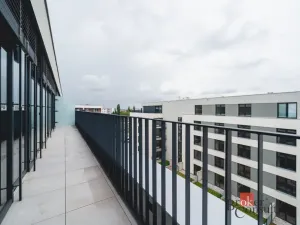 Pronájem bytu 2+kk, Plzeň - Jižní Předměstí, Železná, 62 m2