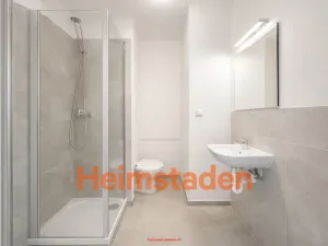 Pronájem bytu 1+1, Frýdek-Místek - Frýdek, Bruzovská, 35 m2