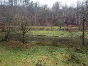 Prodej pozemku, Světlá nad Sázavou, 8621 m2