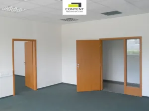 Pronájem výrobních prostor, Myslinka, 29469 m2