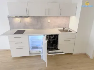 Pronájem bytu 1+kk, Praha - Nové Město, Štěpánská, 32 m2