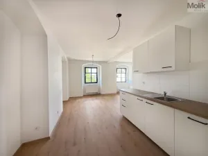 Pronájem bytu 3+kk, Osek, Tovární, 48 m2