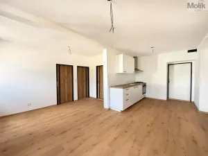 Pronájem bytu 3+kk, Osek, Tovární, 48 m2
