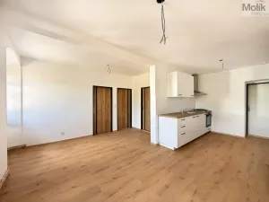 Pronájem bytu 3+kk, Osek, Tovární, 48 m2