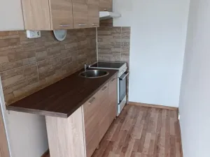 Prodej bytu 1+kk, Ústí nad Labem - Krásné Březno, V Oblouku, 32 m2