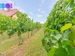 Prodej zemědělské usedlosti, Uherské Hradiště - Mařatice, Vinohradská, 80 m2