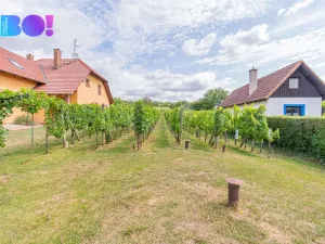 Prodej zemědělské usedlosti, Uherské Hradiště - Mařatice, Vinohradská, 80 m2