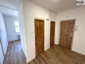 Pronájem bytu 2+1, Duchcov, Družby, 52 m2