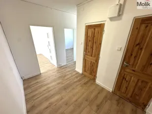Pronájem bytu 2+1, Duchcov, Družby, 52 m2