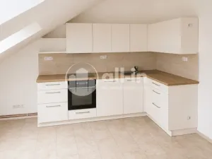 Pronájem bytu 3+1, Vyškov - Brňany, Palánek, 123 m2