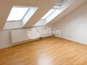 Pronájem bytu 3+1, Vyškov - Brňany, Palánek, 123 m2