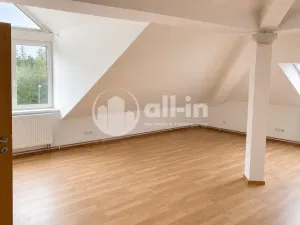 Pronájem bytu 3+1, Vyškov - Brňany, Palánek, 123 m2